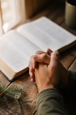 Praying Hands Beside Bible with Evergreen Branch