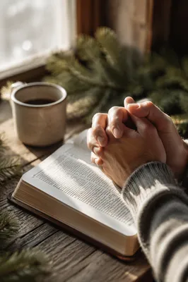 Praying Hands Over Bible in Morning Light