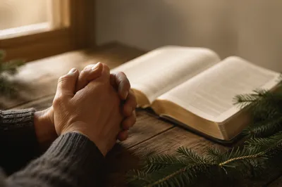 Praying Hands Beside Bible and Evergreens
