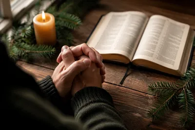 Praying Hands Beside Bible and Evergreen