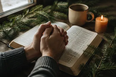 Praying Hands Over Bible With Evergreen