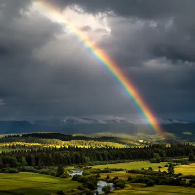 Rainbow Over Evergreen Valley After Storm