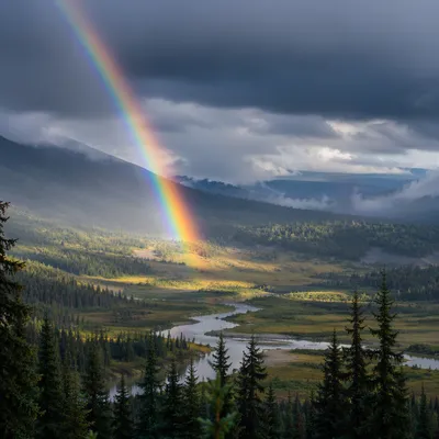 Rainbow Over Evergreen Valley After Storm