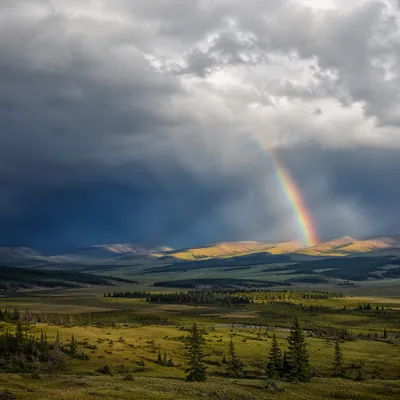 Rainbow Over Evergreen Valley After Storm