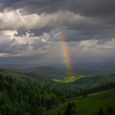 Rainbow Over Evergreen Valley After Storm