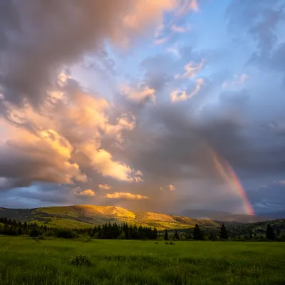 Rainbow Over Evergreen Valley After Storm