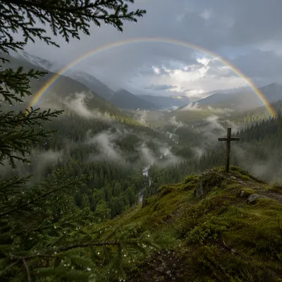 Rainbow Over Evergreen Valley After Storm
