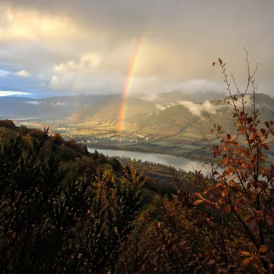 Hopeful Rainbow Over Misty Evergreen Valley