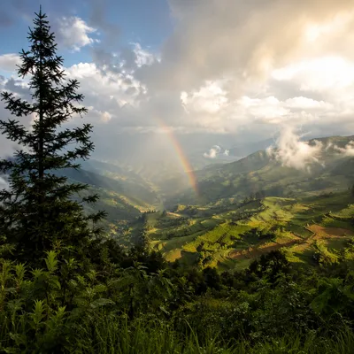 Rainbow Over Peaceful Evergreen Mountain Valley