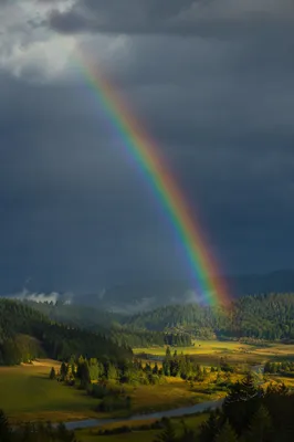 Rainbow Over Evergreen Valley After Storm