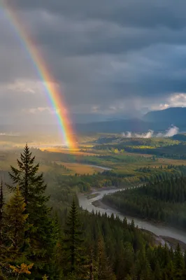 Rainbow Over Evergreen Valley After Storm