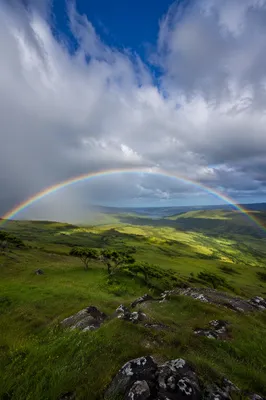 Rainbow Over Stormy Evergreen Valley
