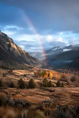 Rainbow Over Evergreen Valley After Storm