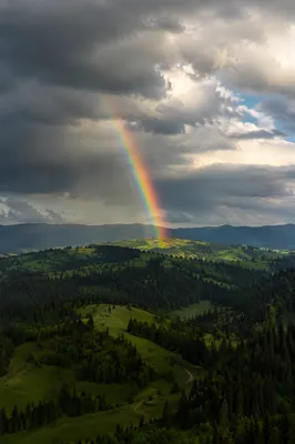Rainbow Over Evergreen Valley After Storm