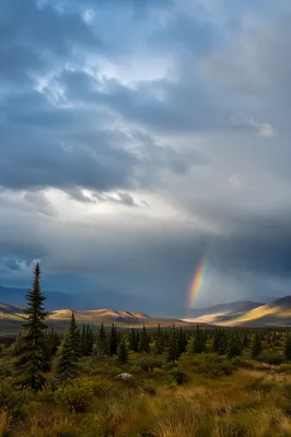 Rainbow Over Evergreen Valley After Storm