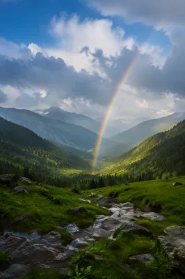 Rainbow Over Evergreen Valley After Storm