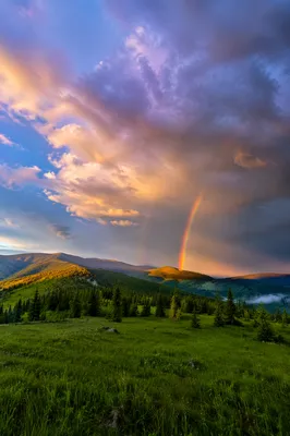 Rainbow Over Evergreen Valley After Storm