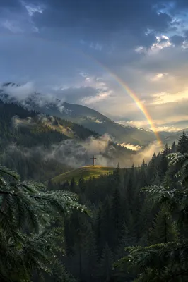 Rainbow Over Evergreen Valley After Storm