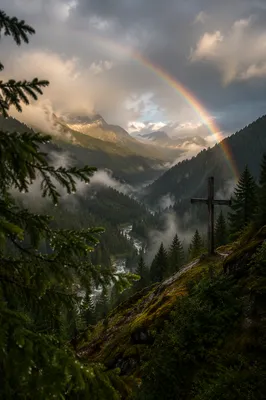 Rainbow Over Evergreen Valley After Storm