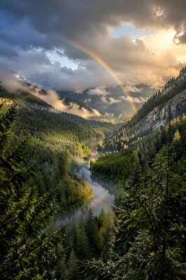 Rainbow Over Evergreen Valley After Storm