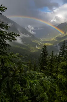 Rainbow Over Evergreen Valley After Storm