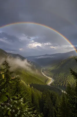 Rainbow Over Evergreen Valley After Storm