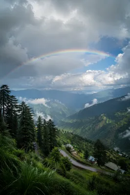 Rainbow Over Evergreen Valley After Storm