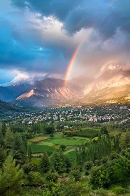 Rainbow Over Evergreen Valley After Storm