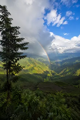 Rainbow Over Evergreen Valley After Storm