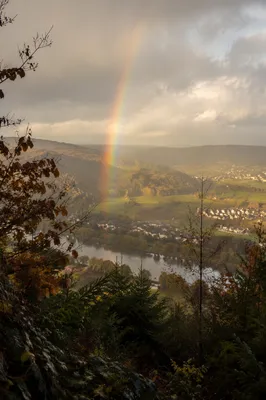Rainbow Over Misty Evergreen Valley After Storm