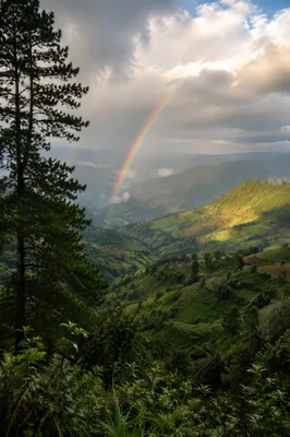 Rainbow Over Evergreen Valley After Storm