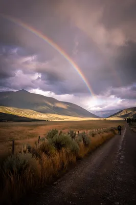 Rainbow Over Storm-Washed Evergreen Valley