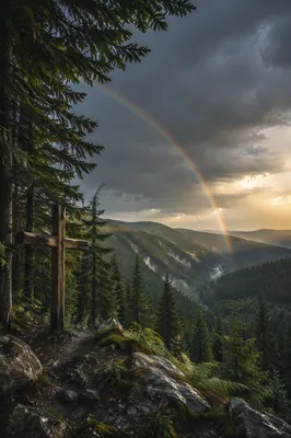 Rainbow of Hope Over Evergreen Valley