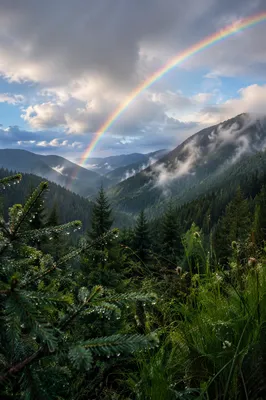 Rainbow Over Peaceful Evergreen Valley