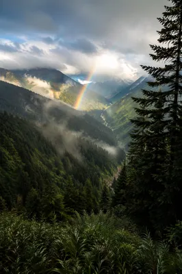 Rainbow Over Misty Evergreen Valley