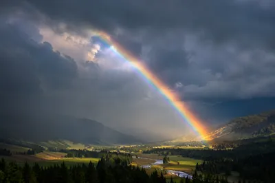 Rainbow Over Evergreen Valley After Storm