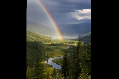 Rainbow Over Evergreen Valley After Storm