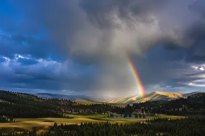 Rainbow Over Evergreen Valley After Storm