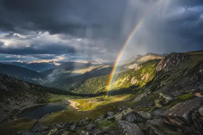 Rainbow Over Evergreen Valley After Storm