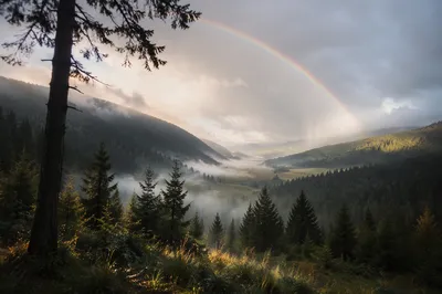 Rainbow Over Peaceful Evergreen Valley After Storm