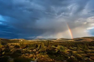 Rainbow Over Evergreen Valley After Storm