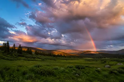 Rainbow Over Evergreen Valley After Storm