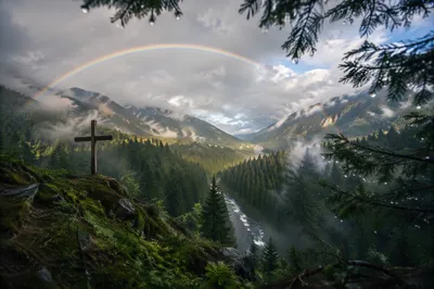 Rainbow Over Evergreen Valley After Storm