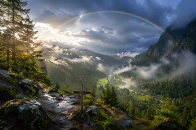Rainbow Over Evergreen Valley After Storm