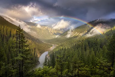 Rainbow Over Evergreen Valley After Storm