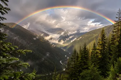 Rainbow Over Evergreen Valley After Storm