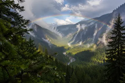Rainbow Over Evergreen Valley After Storm