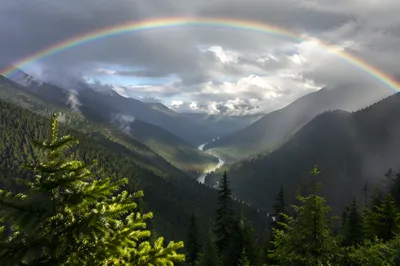 Rainbow Over Evergreen Valley After Storm