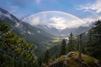 Rainbow Over Evergreen Valley After Storm