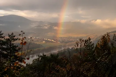 Rainbow Over Misty Evergreen Valley After Storm